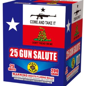 25 Gun Salute